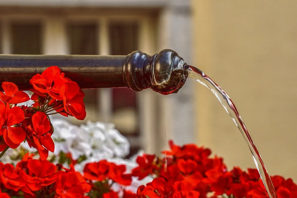 Die Delegierten der SP befürworten die Trinkwasser-Initiative und die Pestizid-Verbots-Initiative. (Bild Pixabay)