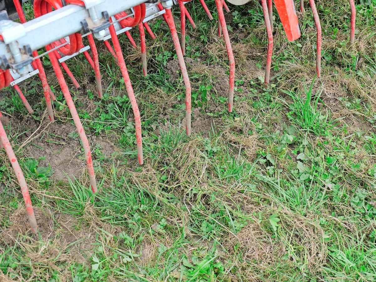 Striegeln von Wiesen zur Verbesserung des Grasbestandes. An der AGFF-Tagung werden auch Maschinen präsentiert, welche dank Übersaaten die Qualität und Quantität des Futters verbessern können.