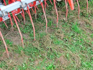 Striegeln von Wiesen zur Verbesserung des Grasbestandes. An der AGFF-Tagung werden auch Maschinen präsentiert, welche dank Übersaaten die Qualität und Quantität des Futters verbessern können.