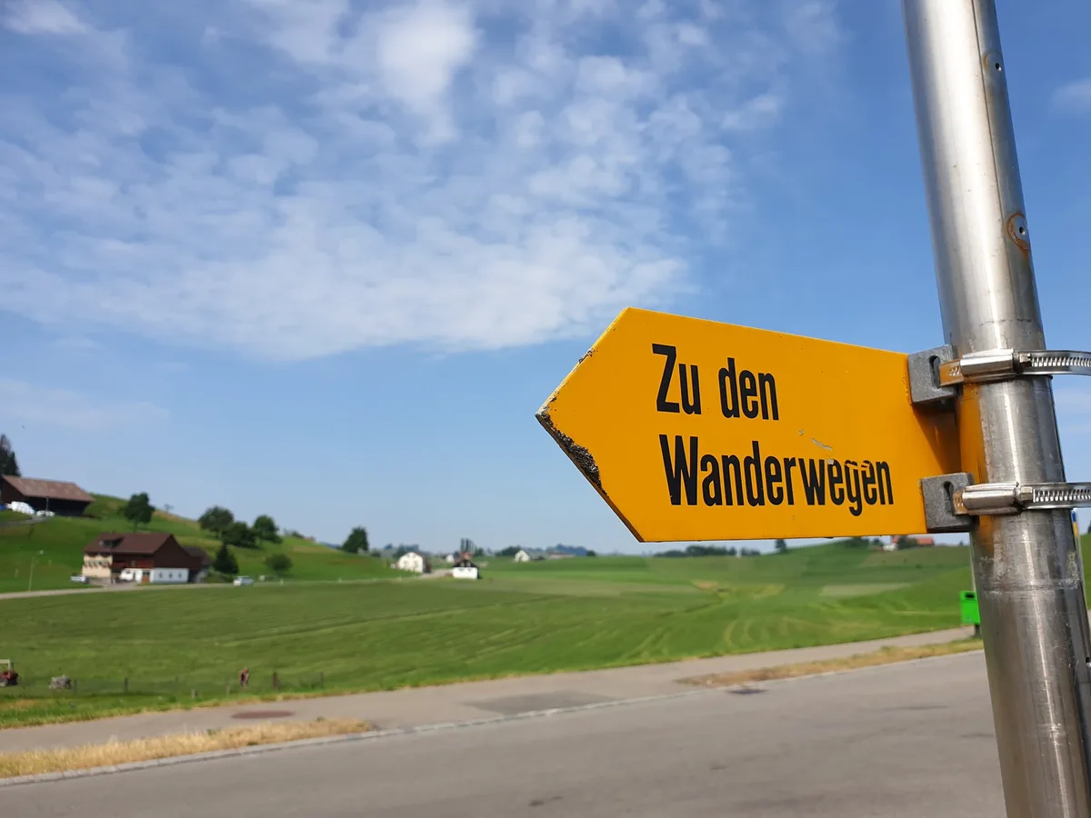tourismus_ji Mutterkühe und Wanderer: Abstand gibt Sicherheit