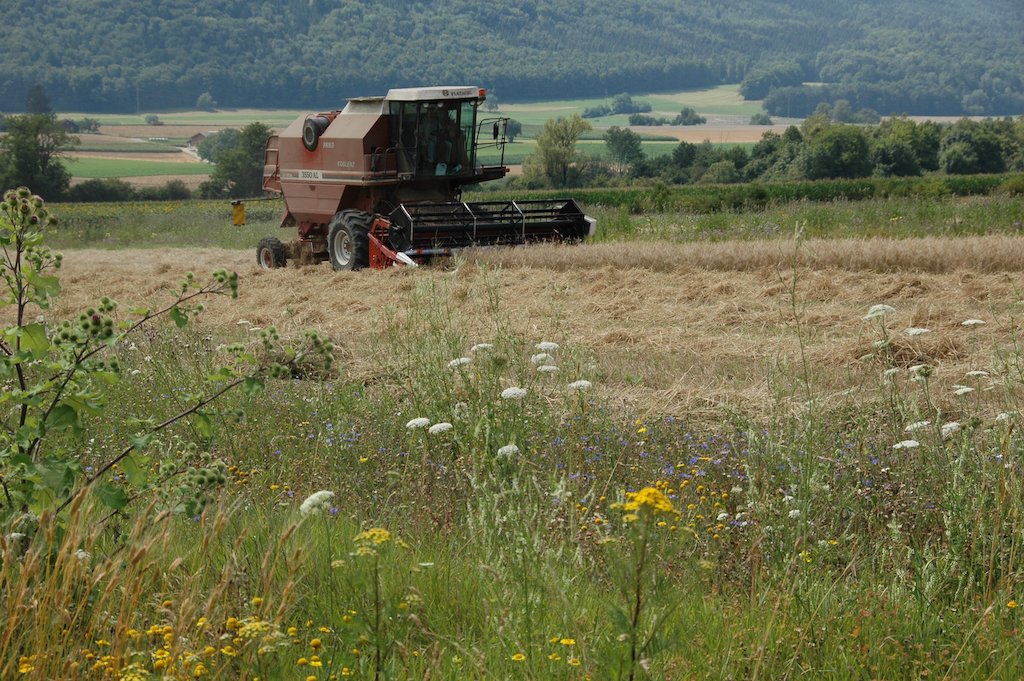 IP-Suisse-Bauern gehören zu den Preisträgern für die Landschaft des Jahres 2023