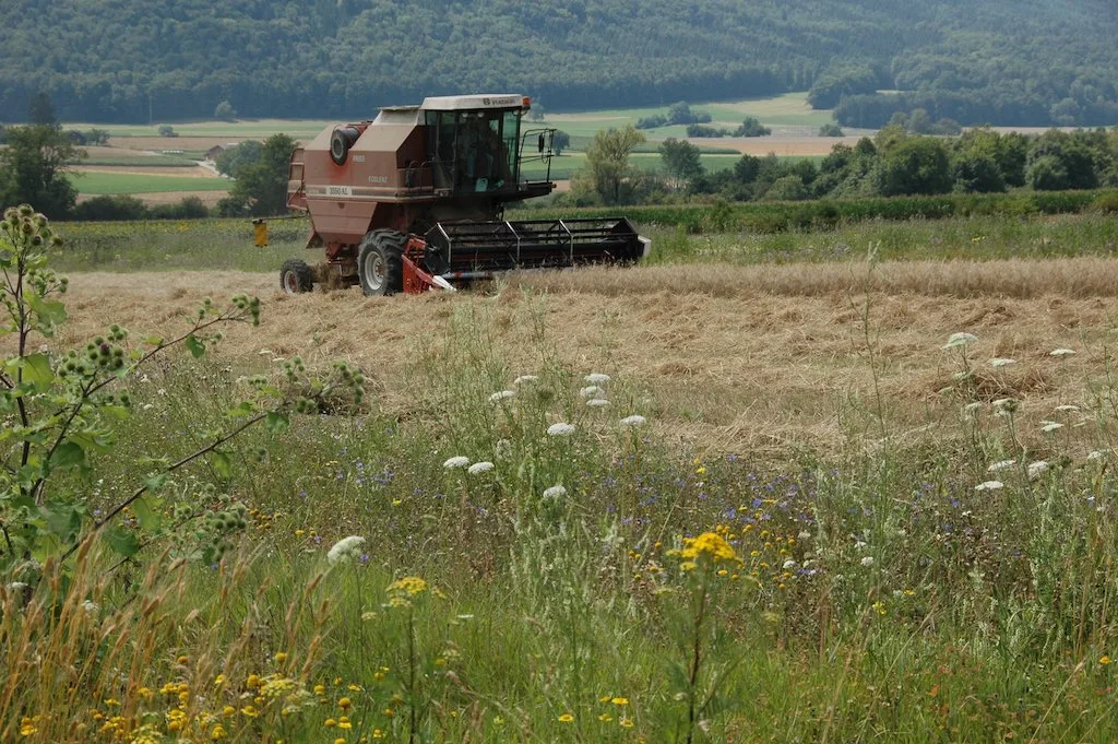IP-Suisse-Bauern gehören zu den Preisträgern für die Landschaft des Jahres 2023