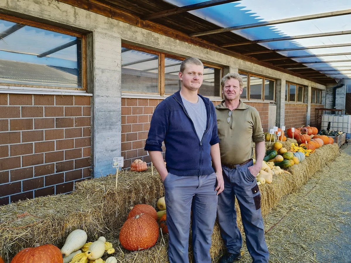 8c6fce3ff09e4e7da8e55da86a69780b1851abee Die Kürbisausstellung ging Ende Oktober zu Ende. Tobias und Walter Bühlmann stehen vor den letzten Kürbissen, die es noch zu kaufen gibt. Seit diesem Jahr führen Vater und Sohn den Betrieb gemeinsam.(Bild Franziska Jurt)