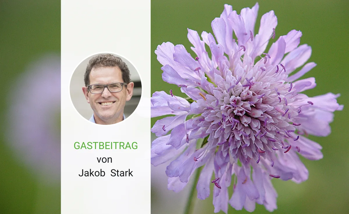 Artikel_Gastbeitrag_BauZ_StarkMai Der Frühling setzt Energien frei und das Wetter macht, was es will