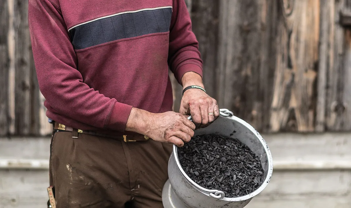 5a9a1a81f28e1a1ac9a02e3a66c1aa88144d00ea Wird Pflanzenkohle bei der Fütterung eingesetzt, profitieren die Tiere in ihrem Verdauungstrakt davon. Bild: Mattias Nutt/ «die grüne»