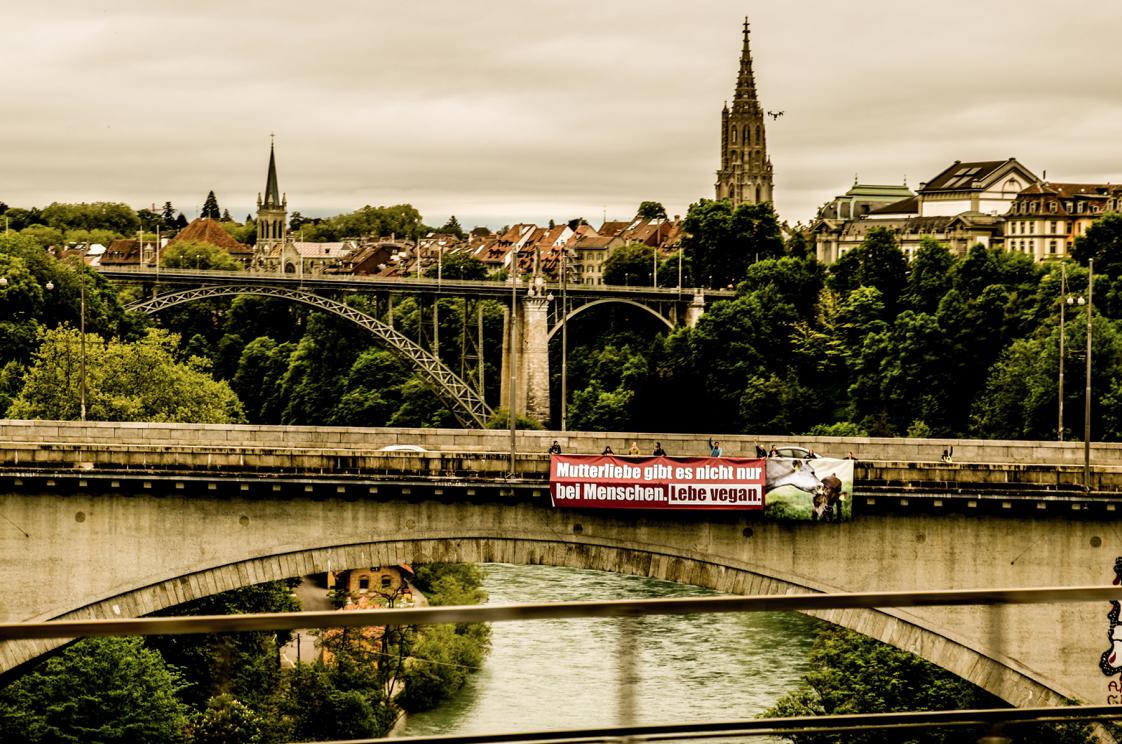 Tierrechtsorganisation Tier im Fokus (TIF) bringt riesiges Transparent auf der Berner Lorrainebrücke an. (Bild pd)