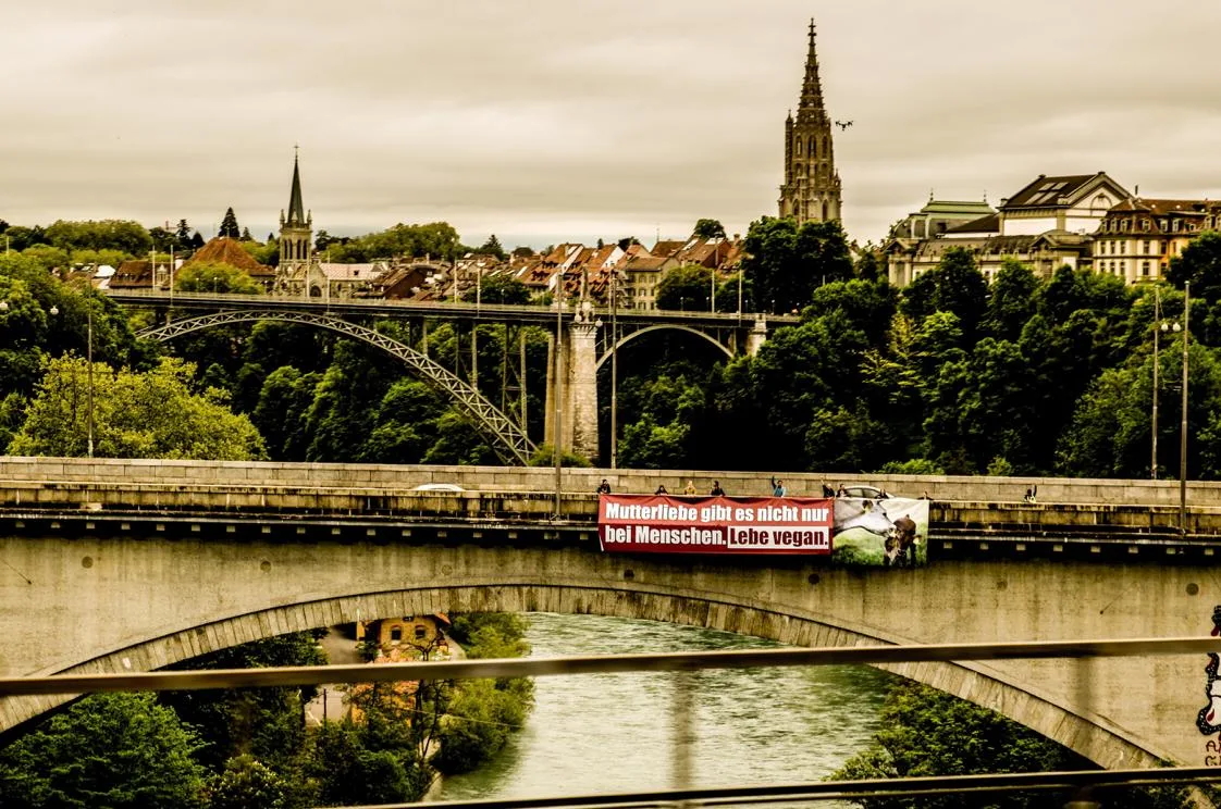 3d9c582ff2bb3e687e6f6cbbe9cebf7d6b89e579 Tierrechtsorganisation Tier im Fokus (TIF) bringt riesiges Transparent auf der Berner Lorrainebrücke an. (Bild pd)