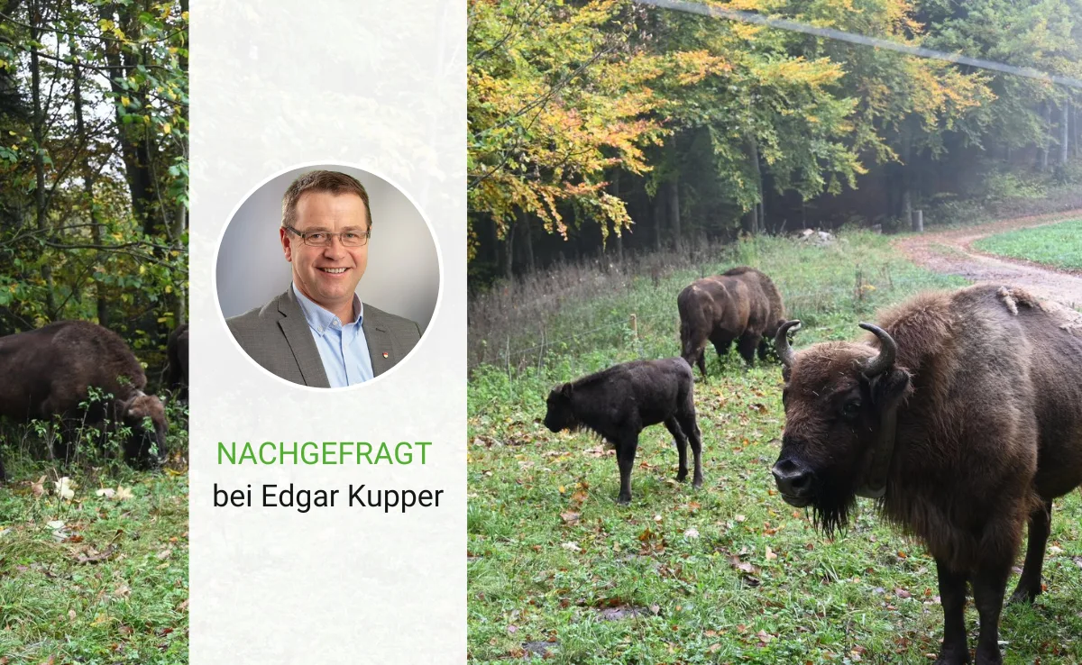 Artikel_Nachgefragt_BauZ__3_ Der Solothurner Bauernverband wehrt sich weiterhin gegen die Wisente
