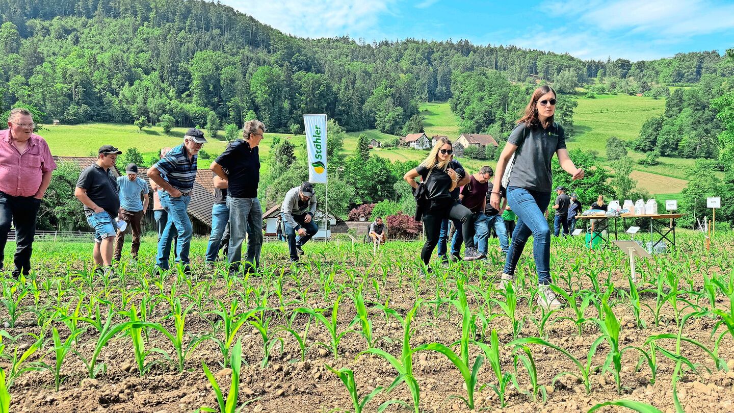 Begehung der Mais-Versuchsparzelle am Stähler-Tag in Bachs. Gezeigt wurden verschiedene Herbizidverfahren sowie ein stickstoff- und phosphorreicher Mikrogranulatdünger mit Zink und Huminsäuren.