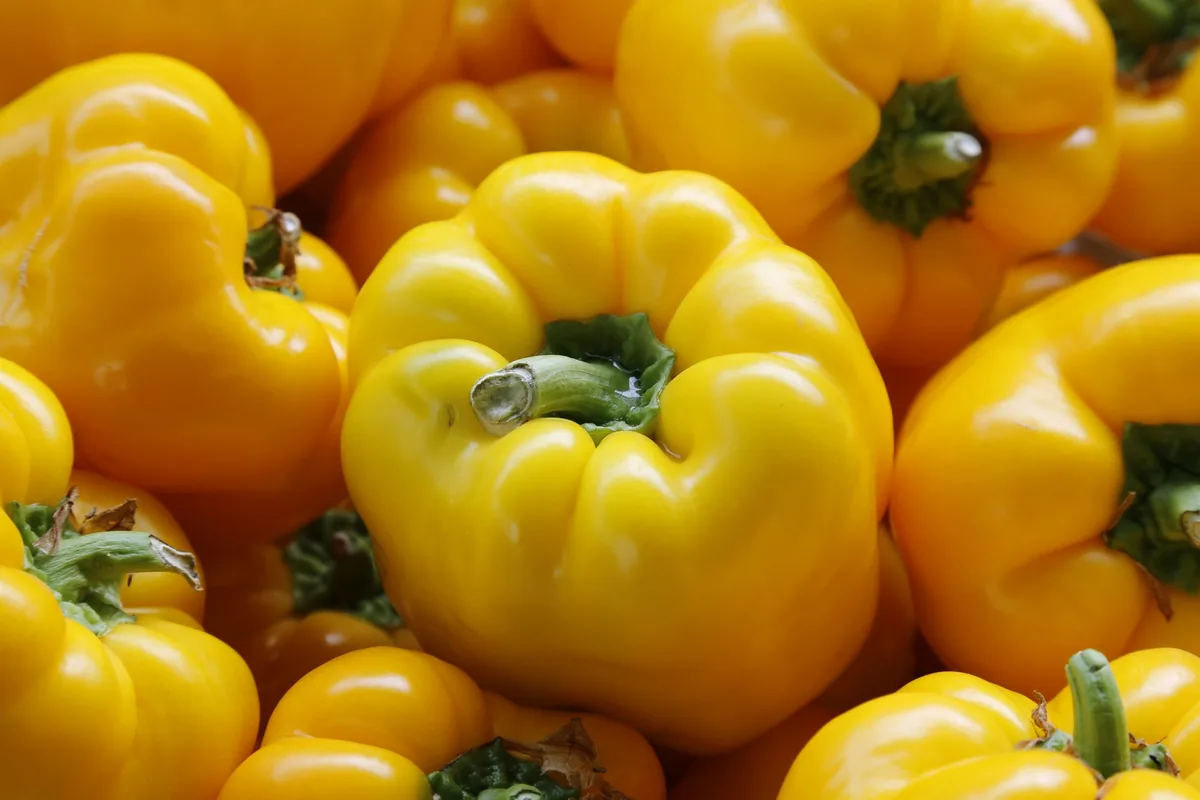 peperoni_gelb_jin Patente – zwischen Profit und Nachteil