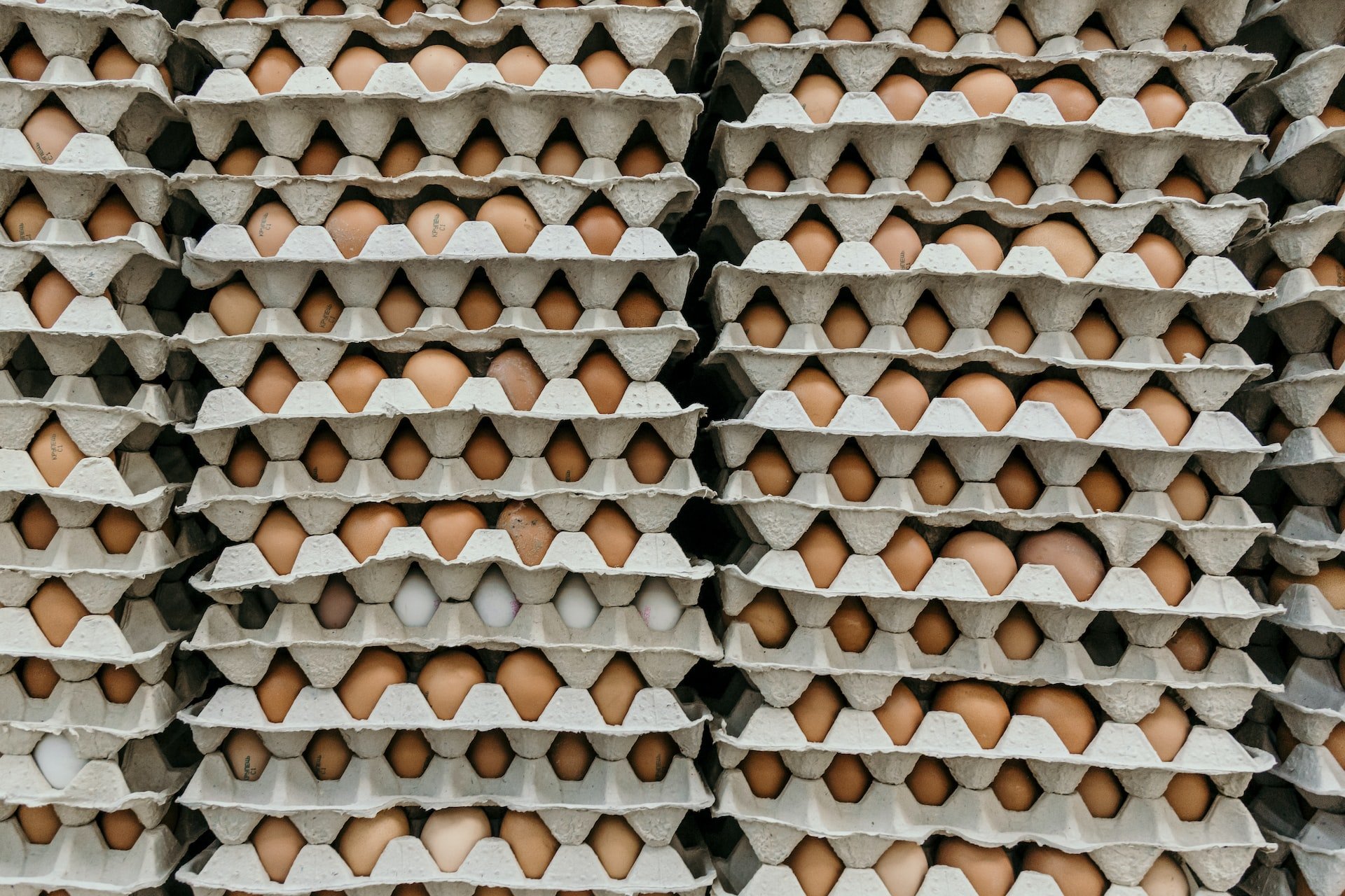 Die befürchtete Eier-Mangellage blieb aus
