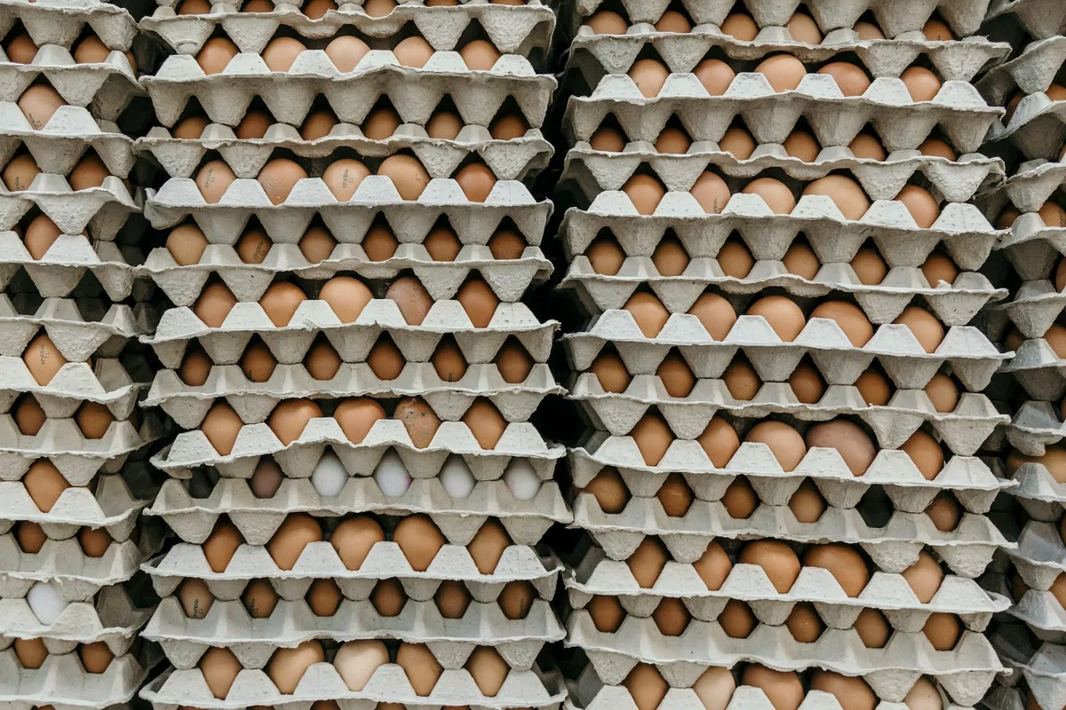 eierkartons_marjan_blan Die befürchtete Eier-Mangellage blieb aus