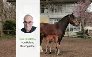 Roland Baumgartner ist ehemaliger Zentralstellenleiter Tierzucht Baselland und ehemaliger Präsident der Pferdezuchtgenossenschaft Oberbaselbiet.