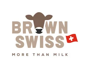 Brown Swiss mit einheitlichem Auftritt
