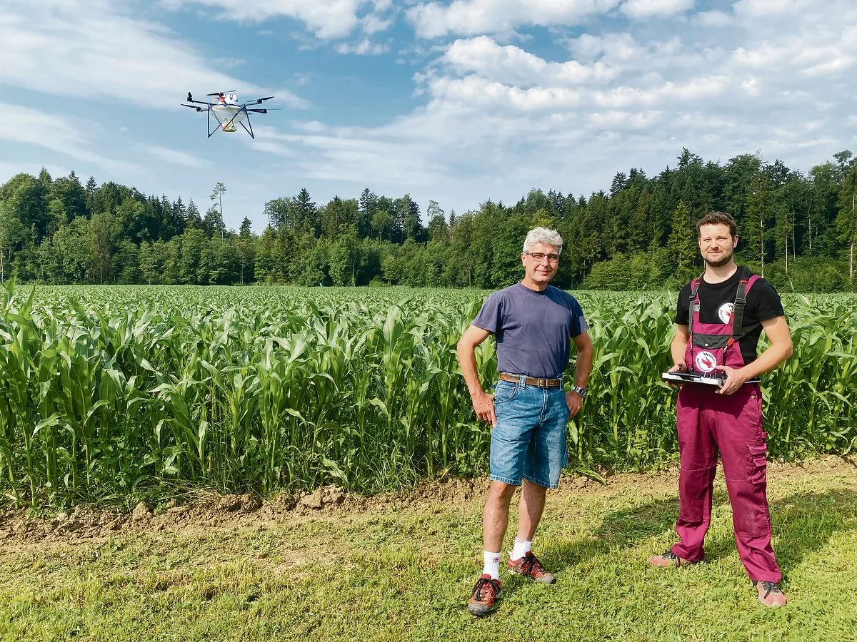 a7a6e74c2122e56b4f21b733cd1e0e2fad0f84bf Landwirt Matthias Schälchli (links) mit Drohnenpilot Thomas Widmer, während die Drohne automatisch das Maisfeld abfliegt und Trichogramma-Kugeln abwirft. (Bilder Katrin Erfurt)