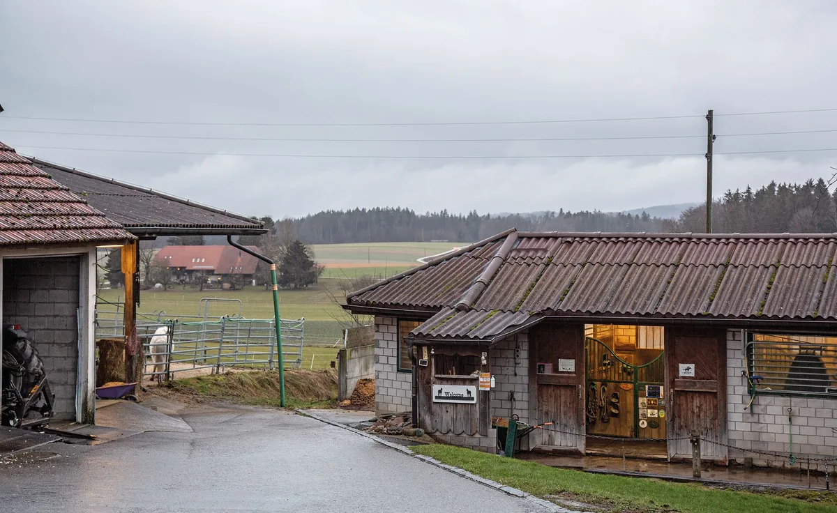 d0cac049585d738710c87296cfaa7e831e6459aa Die Rufer Ranch hat verschiedene Aufstallungs-Systeme. Im Gebäude rechts sind drei Auslaufboxen, links ist ein Teil des Auslaufes des Kleingruppen-Stalls zu sehen. (Bilder Pia Neuenschwander)
