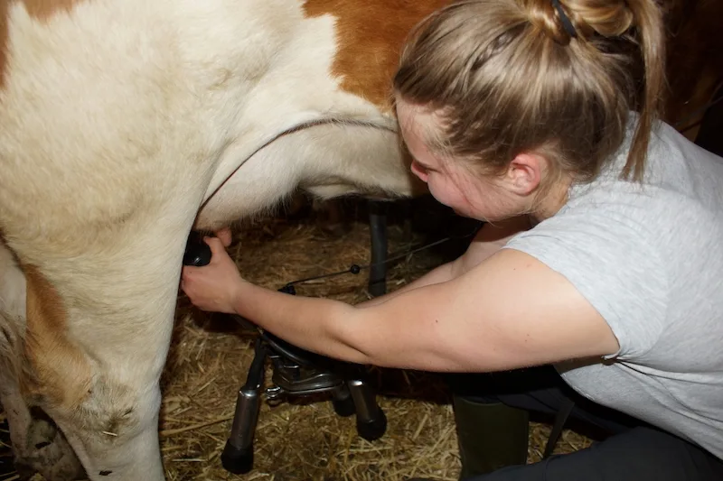 d1dee714f030aafca5eb0a920b3aae3369ccc3f9 Bei Autorin Sandra Steffen-Odermatt gibt es für Arbeiten wie das Melken einen Lohn. Die Ämtli im Haushalt gehören zur Organisation des Familienlebens und werden von allen weiterhin unentgeltlich erledigt. (Bilder Sandra Steffen-Odermatt)