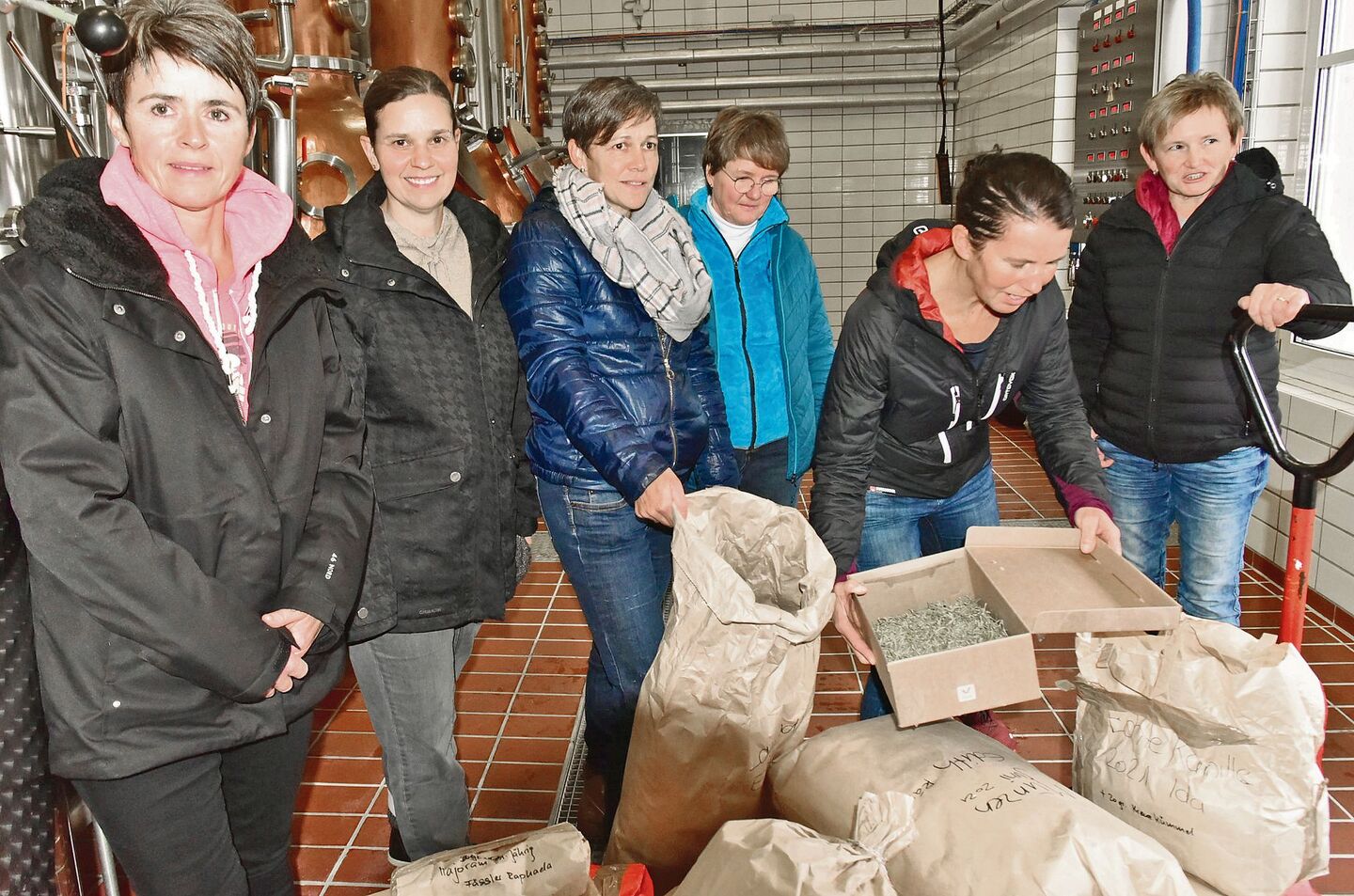 Diese Frauen produzieren neun der 42 Kräuter, die im Likör Appenzeller Alpenbitter drin sind.