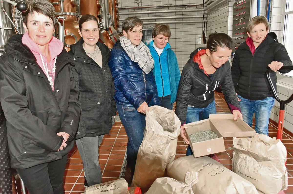 c29379102ebac9a600bc3a959aca7f2f9904f8f98ce6d8937055bebc04bccfb6 Diese Frauen produzieren neun der 42 Kräuter, die im Likör Appenzeller Alpenbitter drin sind.