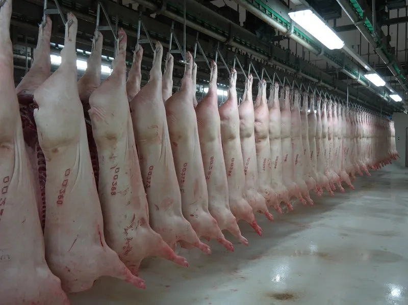 5e4d5f14c38c1e5d2553bd5bbe51de07f737b7ec Von Januar bis Mai erreichte die Importmenge an Fleisch rund 2,2 Mio Tonnen; das waren 23 Prozent mehr als in der Vorjahresperiode. (Bild Josef Kottmann)
