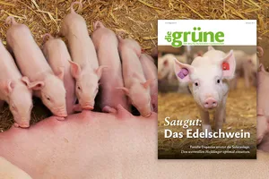 Vorschau Print-Ausgabe Juli 2022