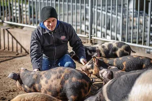 Cäsar Bürgi inmitten seiner Schweine: Die Ferkel sind zwölf Wochen alt. Mit achteinhalb Wochen wurden sie abgesetzt,sie bleiben aber weiterhin in der Gruppenhaltung integriert.