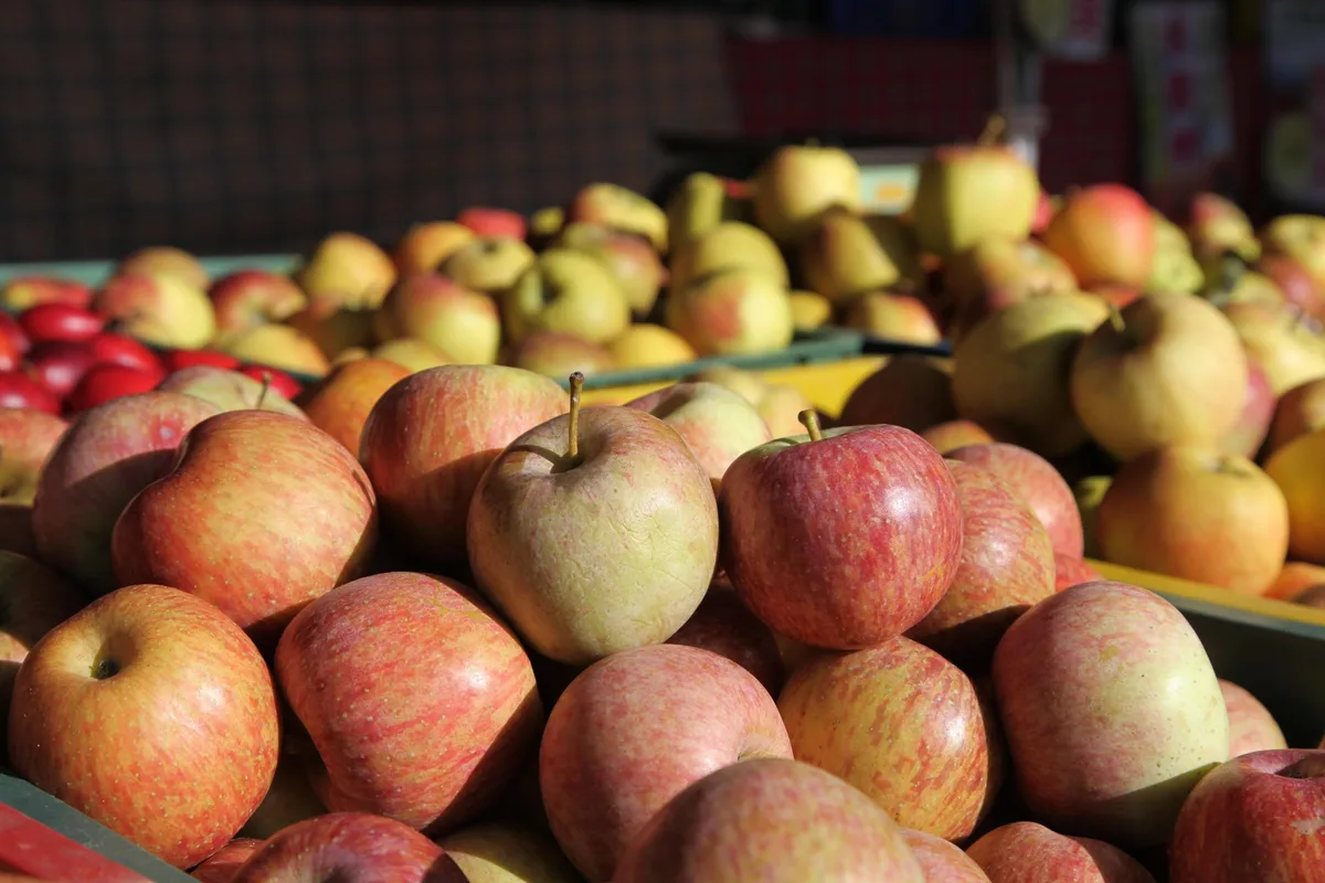 apfel_kriss_chen Ab sofort gibt es IP-Suisse-Äpfel und -Birnen bei Coop – Preisbonus von 10 Rappen
