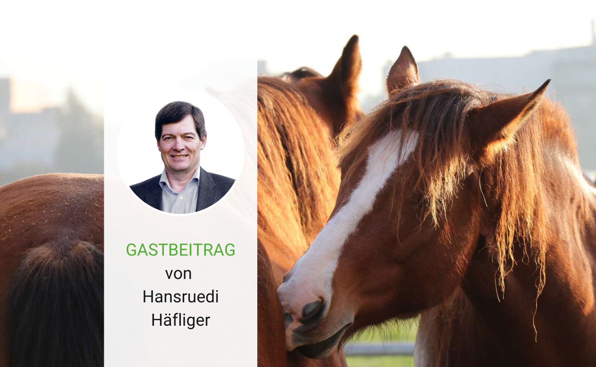 Pferde sind auch nur Menschen