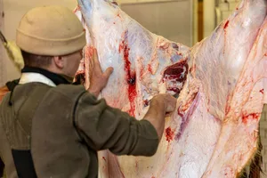 In der Metzgerhuus Stadt und Land AG in Füllinsdorf BL werden ab April 2025 Tiere aus der Region Basel geschlachtet und verarbeitet.