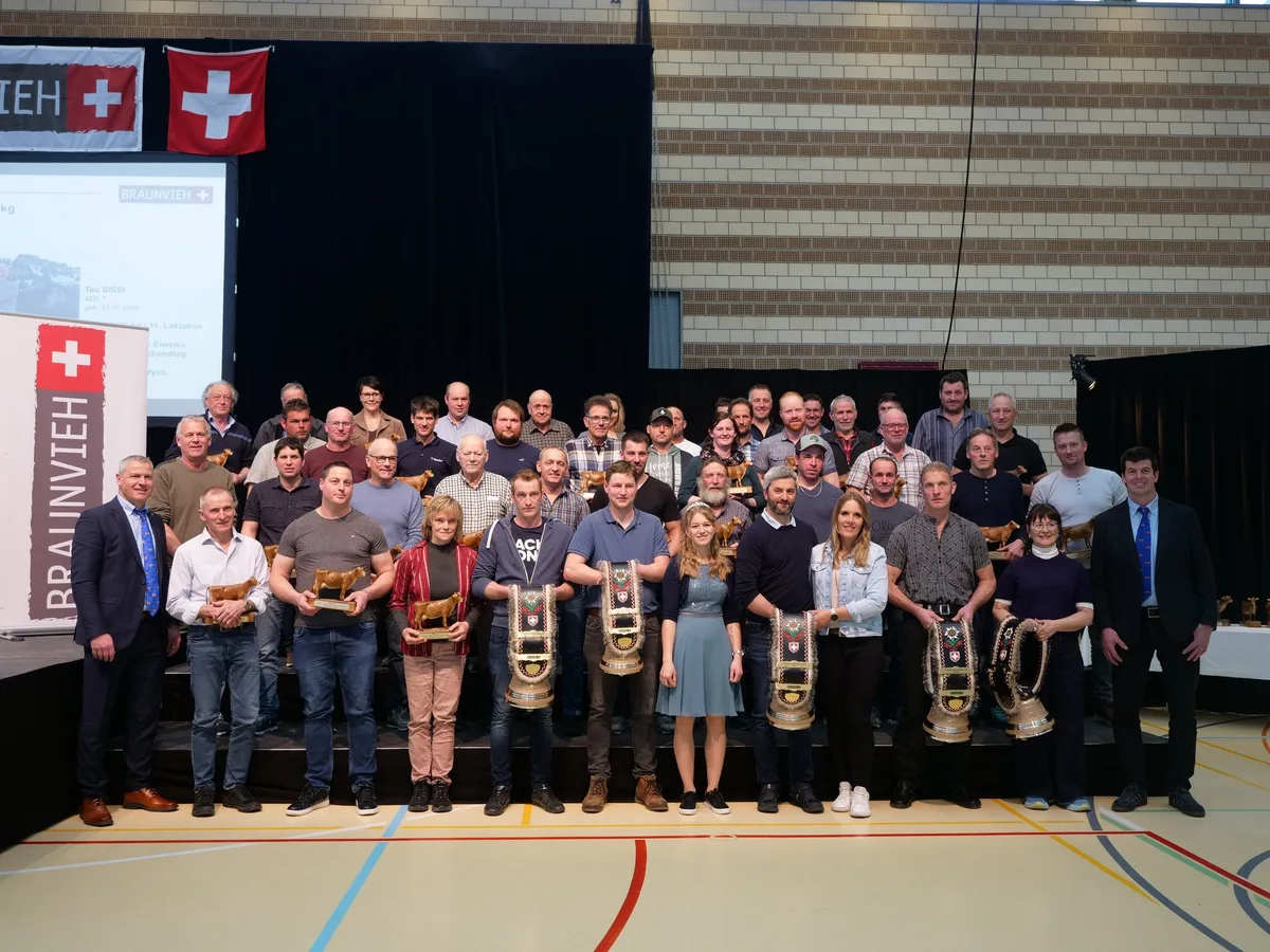 P1100820 Braunvieh Schweiz hat ein klares Ziel: Gemeinsam den Rückgang abzuwenden