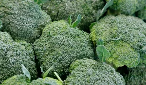 Der Pro-Kopf-Konsum von Broccoli liegt in der Schweiz bei zwei Kilo. (Bild ji)