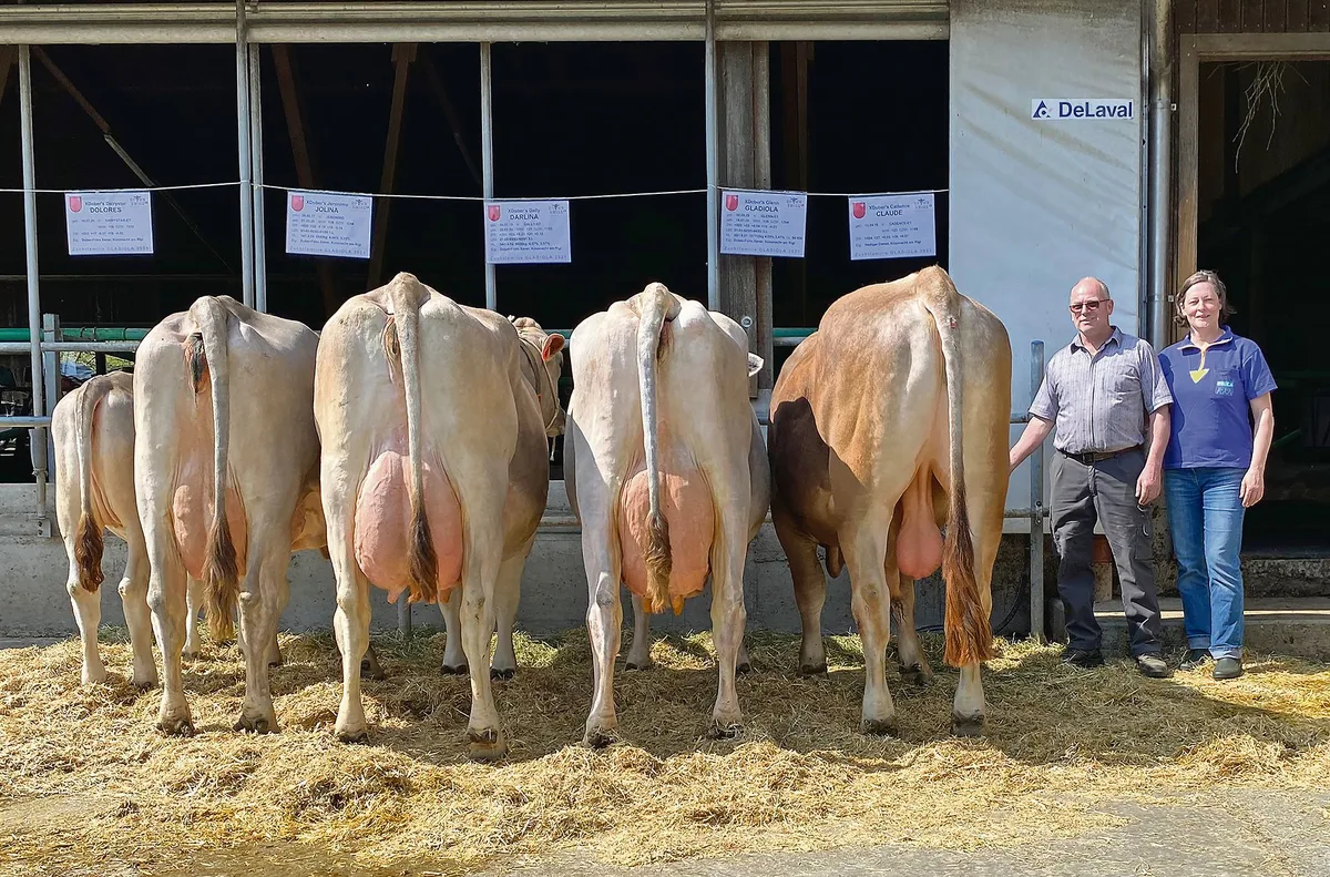 121719d73bd6eb674e708c9083fe292eb941f37e Xaver Dober erzielte mit den Nachkommen von Glenn Gladiola ausgezeichnete 91 Punkte und damit das kantonal beste Ergebnis. (Bild Braunvieh Schweiz)