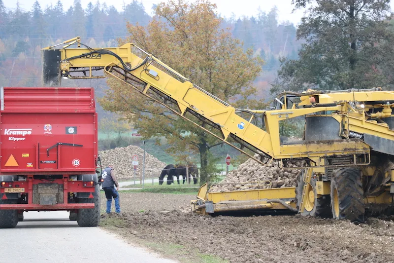 f83a731534a831f2b6e11cdf5703a2821aa19536 Der exakt geplante Einsatz der Verlademäuse ist Grundvoraussetzung für eine getaktete Anfuhr in die Zuckerfabrik. (Bild: Ruth Aerni)