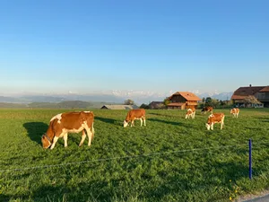 David Eppenberger schlägt vor, «das Beste aus allen Agrarwelten» zu kombinieren, um die Landwirtschaft zukunftstauglich zu gestalten. (Bild akr)