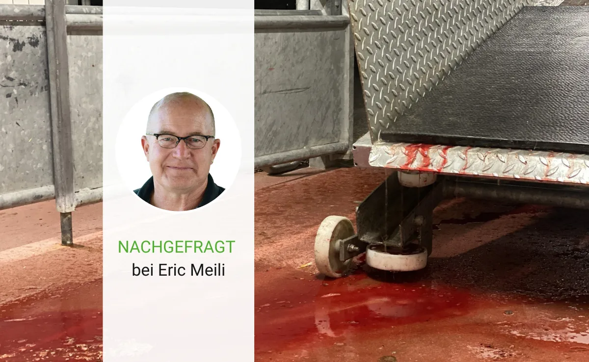 nachgefragt-meili-42 «Wir wollen den ‹Tote-Tiere-Tourismus› vermeiden»