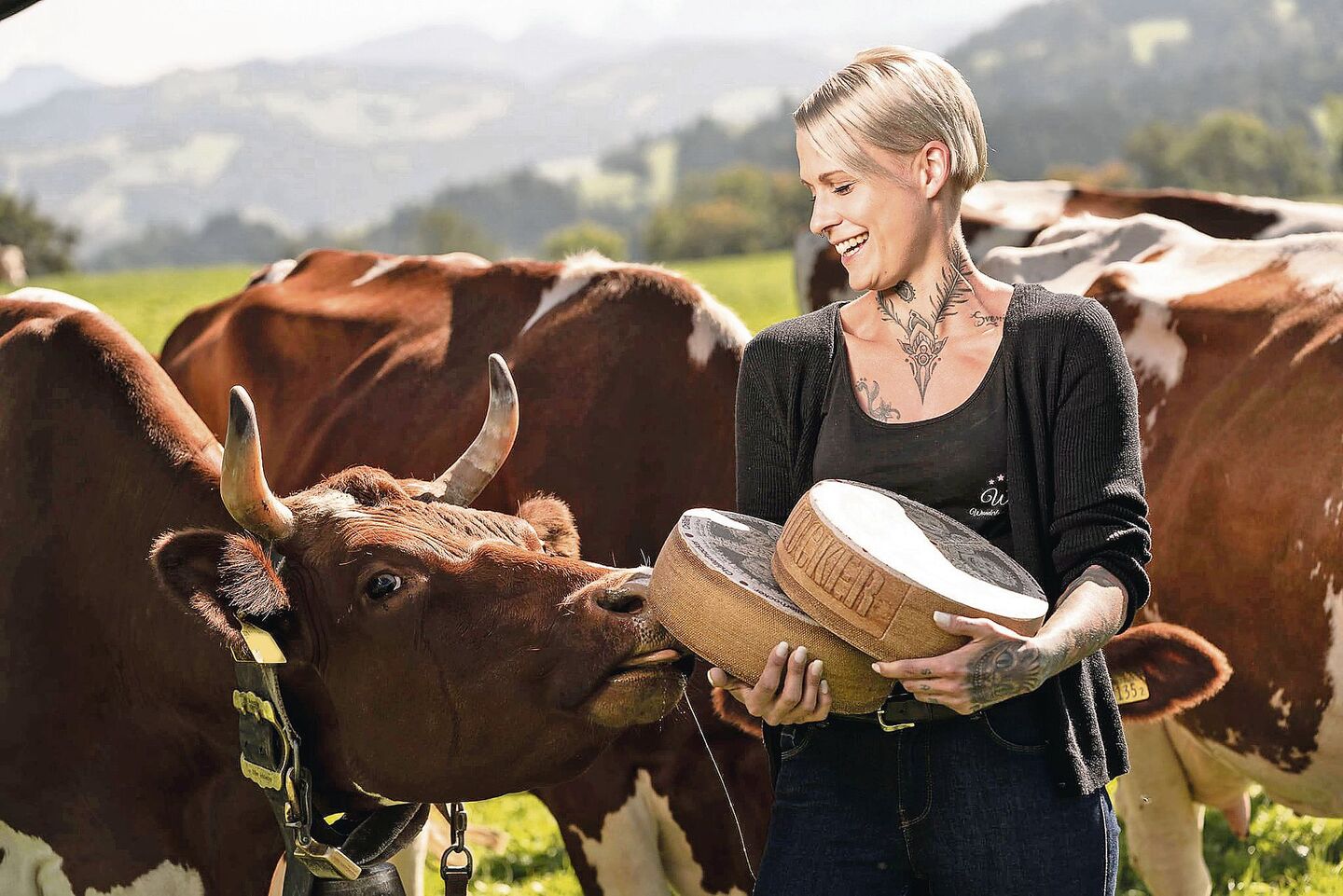 Sarah Schönenberger liebt Käse über alles. Käse und nochmals Käse – das ist ihr Ding. «Die Wertschöpfungskette beginnt mit der Leistung der Kühe und der Arbeit der Bauernfamilien», sagt sie. Das verdient Wertschätzung.