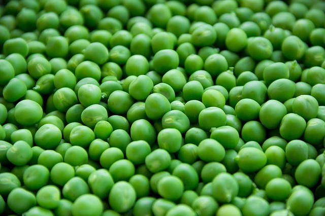 Eine "völlig unangemessene" Ernährung wurde für das Kind und die Eltern zum Verhängnis. (Bild Pixabay)