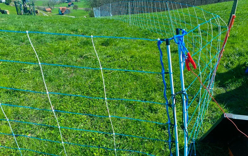 Weidezaun-SGBV Finanzielle Unterstützung für die Anschaffung von blau-weissen Weidenetzen