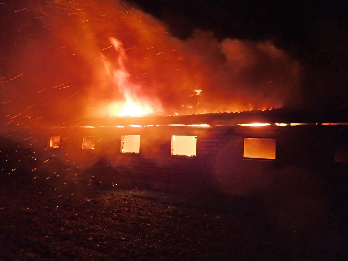9658a868604c6e6aa12e86f6914c1fe373f88152 Wieder hat die Tierschutzorganisation Peta nach einem Stallbrand Anzeige gegen die Bauernfamilie erstattet. (Bild Kapo Thurgau)