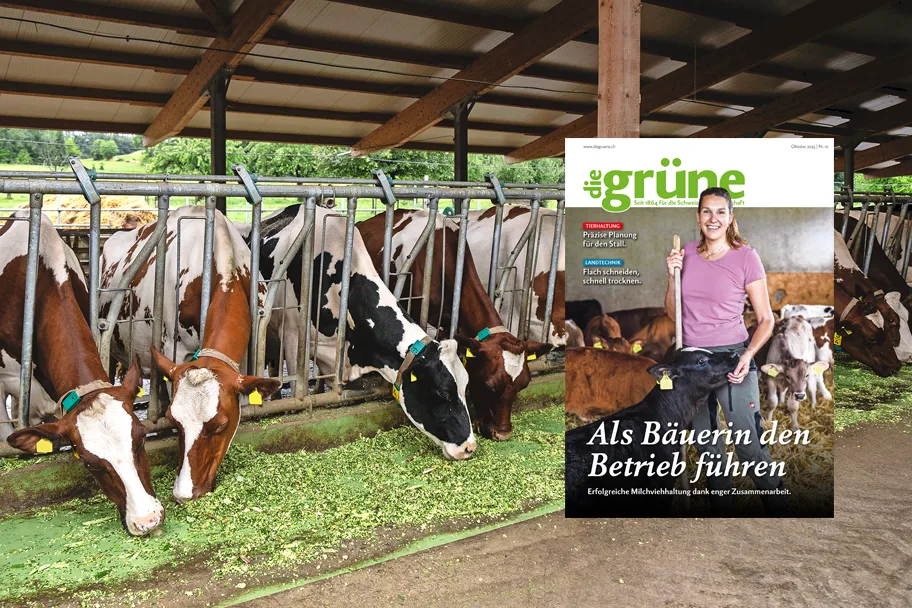 «die grüne» im Oktober 2025 – Als Bäuerin den Betrieb führen