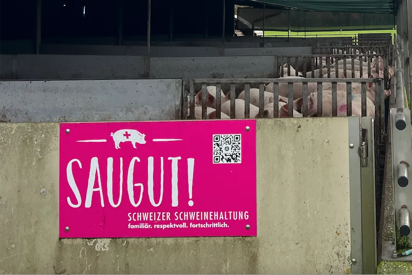 Bildschirmfoto 2026-09-24 um 08.43.50.png Spitze beim Tierwohl und der Fleischqualität. Nun gilt es, EP rasch in den Griff zu bekommen: Schweizer Schweineproduktion.