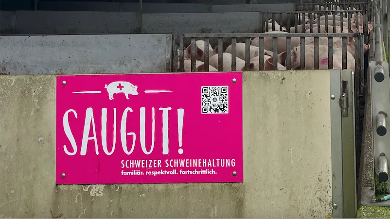 Bildschirmfoto 2026-09-24 um 08.43.50.png Spitze beim Tierwohl und der Fleischqualität. Nun gilt es, EP rasch in den Griff zu bekommen: Schweizer Schweineproduktion.