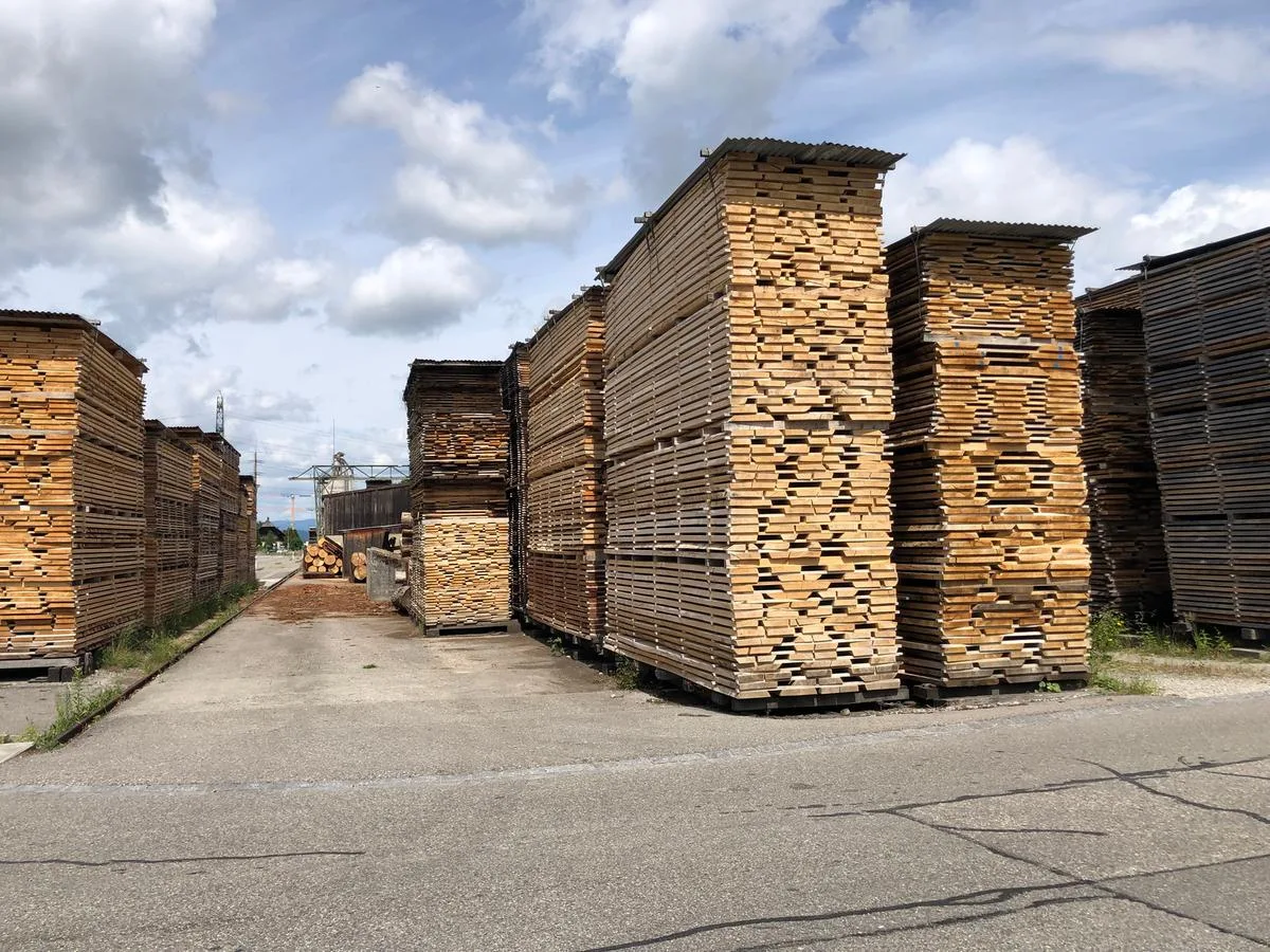 8 der 11 Millionen Kubikmeter Holz pro Jahr könnten aus der Schweiz stammen
