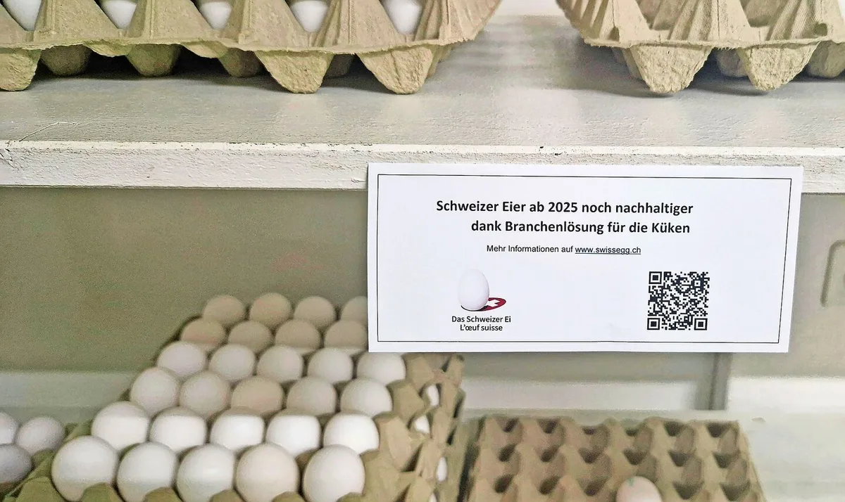998233e849ae650a5f0f10f0ede2f1ab9cceda2243fd1a4d1e37ab565f9ac3a7 Hinweis von Gallo Suisse für das Verkaufsregal, der auf weitere Informationen verweist.