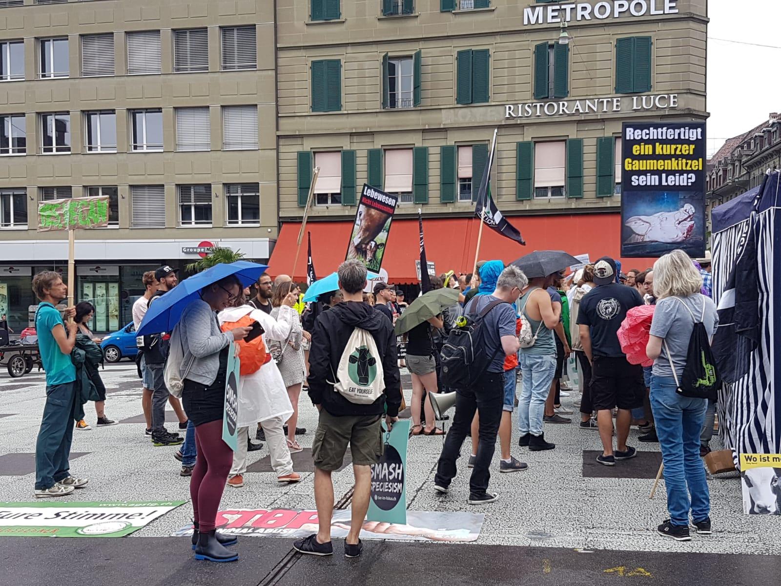 Bild von der überblickbaren Demo der Nutztierhaltungs-Gegner am Samstagnachmittag in Bern. (Bild lae)
