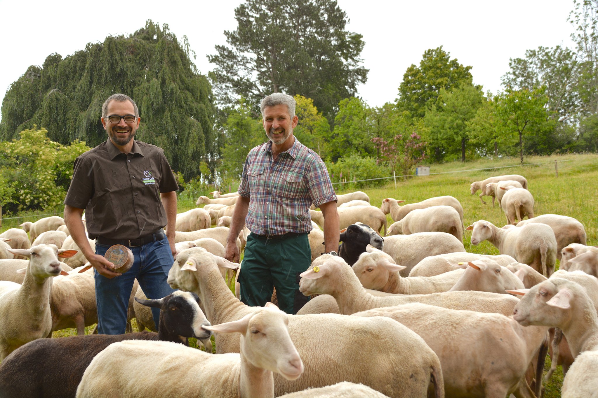 Schafmilch-Porträt: Von der Kuh aufs Schaf gekommen