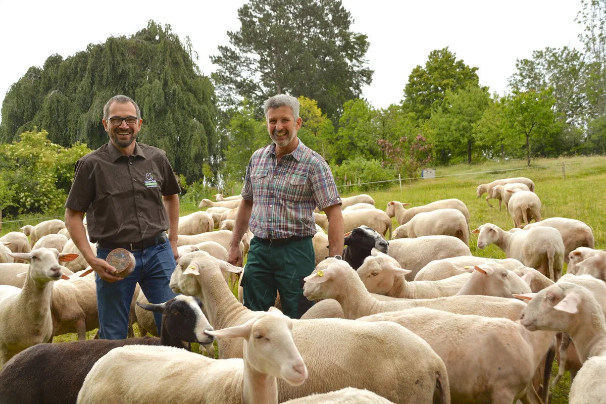 d8b8755d140535cc74460940ef7fffbbd0fb01e9 Schafmilch-Porträt: Von der Kuh aufs Schaf gekommen