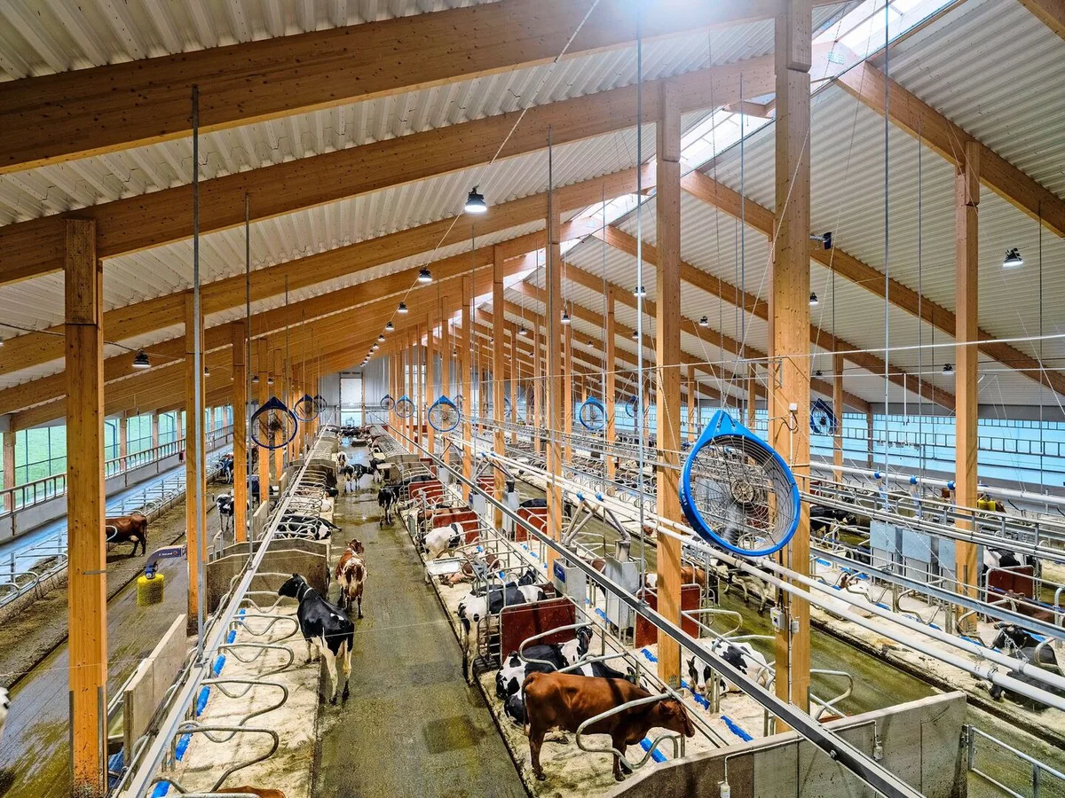 Prunkstück des Erweiterungsbaus bei der DeLaval-Versuchsfarm ist der neu erbaute VMS-Stall mit Besucherzentrum und Platz für bis zu 350 Milchkühe.
