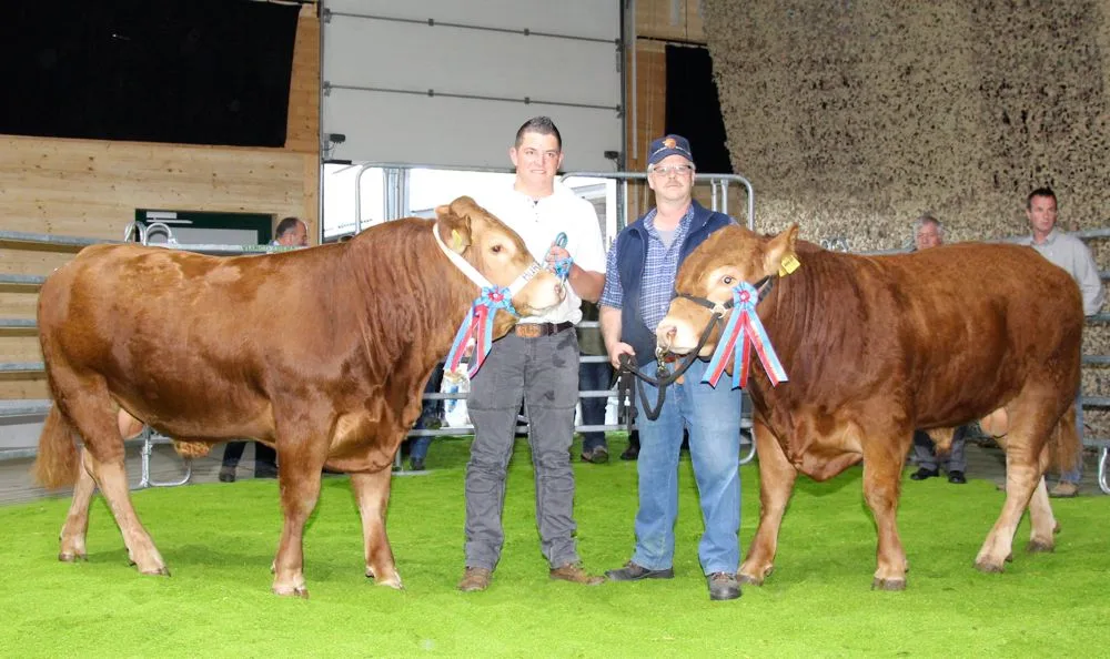 f040d55a2c2891bfb6f2a50e543ad094bf999775 Der Limousin-Champion Thunstetten’s Housi (rechts) galt 11'000 Franken und der Vize-Champion Burris Rimus 6000 Franken. (Bild Hans Rüssli)