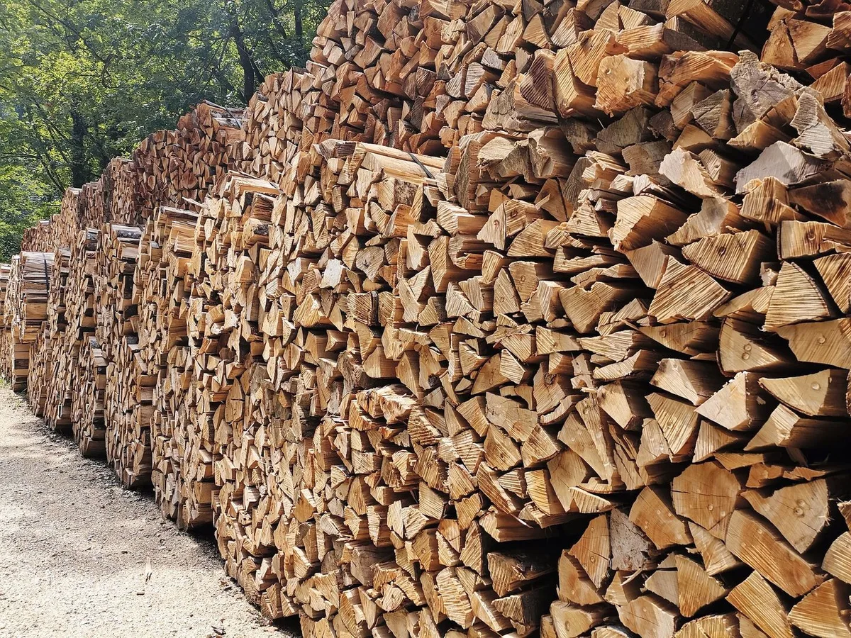 02fa9aec037972ebe92199a4fada9977e99b06b4c02ee5c35830eb34211ae185 Brennholz war bislang ein Nischenmarkt. Dieses Jahr jedoch haben Forstbetriebe teils die zehnfache Bestellmenge wie sonst üblich. Experten beobachten hier einen «Klopapiereffekt».